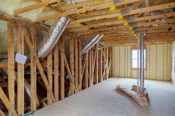 Best Professional Insulation Contractor  in Knightdale, NC