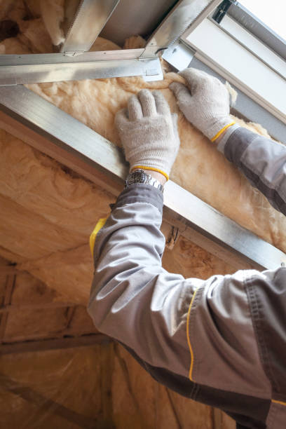 Best Fiberglass Insulation  in Knightdale, NC
