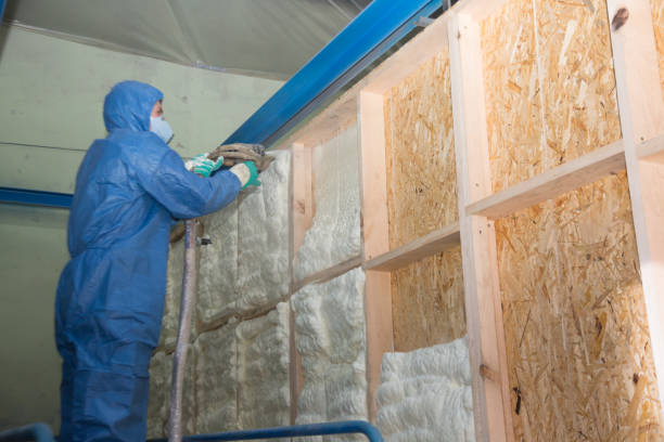 Best Insulation Removal Services  in Knightdale, NC