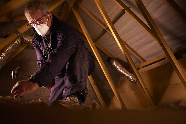 Best Cellulose Insulation  in Knightdale, NC