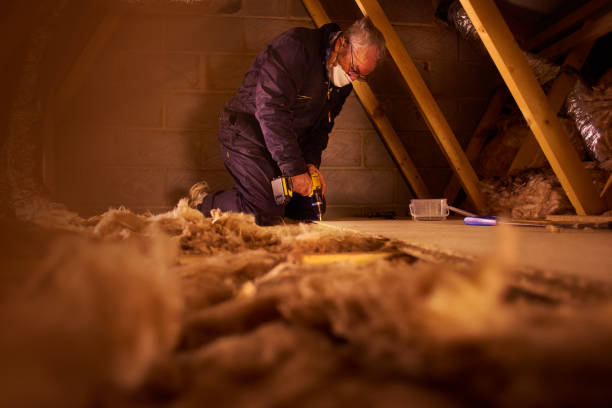Professional Insulation Contractor in Knightdale, NC