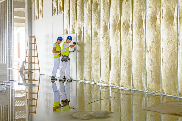 Best Best Insulation Companies  in Knightdale, NC